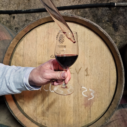 Dégustation des vins à  L'Enclos des Songes